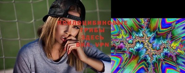 ешки Кострома