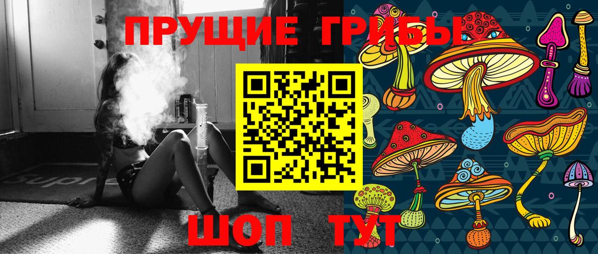 Галлюциногенные грибы прущие грибы  Псилоцибиновые грибы мицелий  Вход с VPN  Великий Устюг 