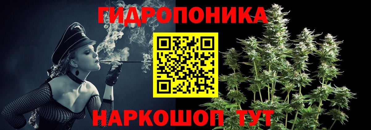 Бошки марихуана планчик  МАРИХУАНА Bruce Banner  Великий Устюг  Вход с VPN  Шишки марихуана конопля 